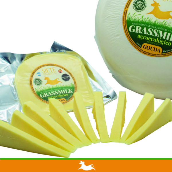 queso gouda de vaca, grassmilk, grassfeet, queso agroecologico, queso organico, queso a pasto, queso, siete cabritos, queso de cabra, pizza, comida sana, queso rallado, pasta sana, quesos gourmet, siete vaquitas, córdoba, argentina