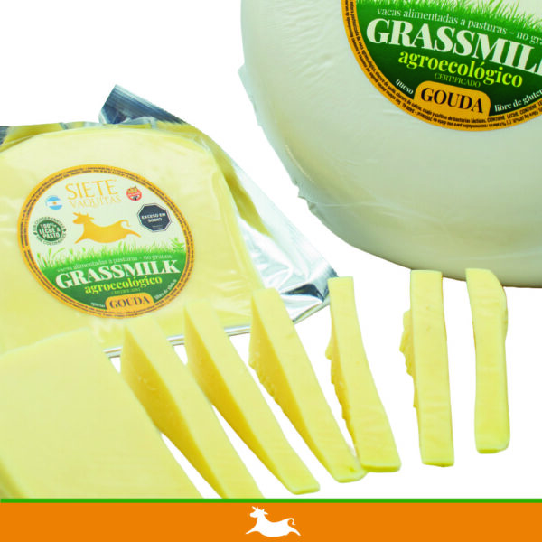 queso gouda de vaca, grassmilk, grassfeet, queso agroecologico, queso organico, queso a pasto, queso, siete cabritos, queso de cabra, pizza, comida sana, queso rallado, pasta sana, quesos gourmet, siete vaquitas, córdoba, argentina