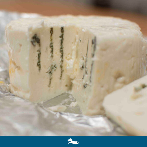 azul de cabra siete cabritos queso azul de cabra siete cabritos. cabritos