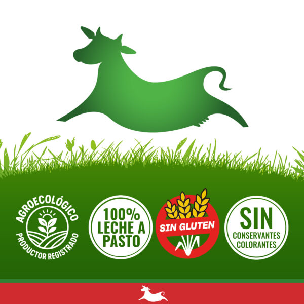 queso cremoso de vaca, grassmilk, grassfeet, queso agroecologico, queso organico, queso a pasto, queso, siete cabritos, queso de cabra, pizza, comida sana, queso rallado, pasta sana, quesos gourmet, siete vaquitas, córdoba, argentina